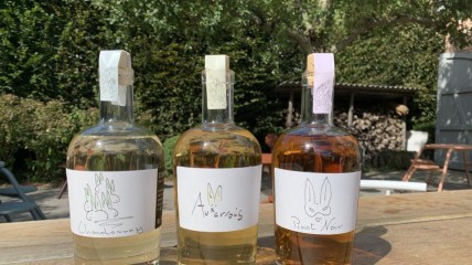 Ontdek de parels van Boechout op Wijndomein Oud Conynsbergh