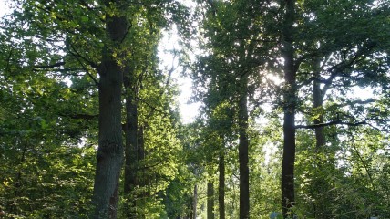 218 de eerstevrijdagwandeling